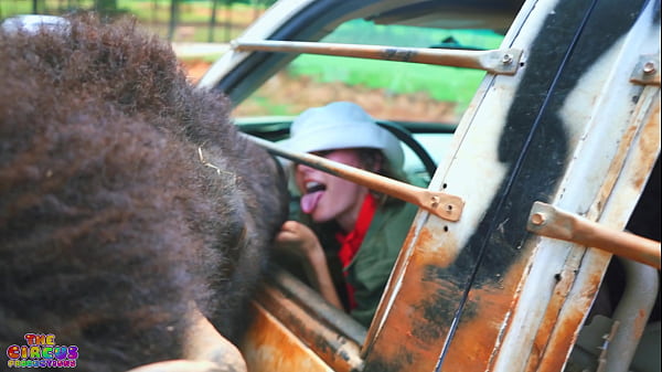 Two Lesbians Hit It Off After Being On A Trip Together In The Safari