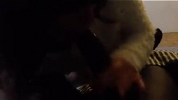 Chupando o pau do amante 2