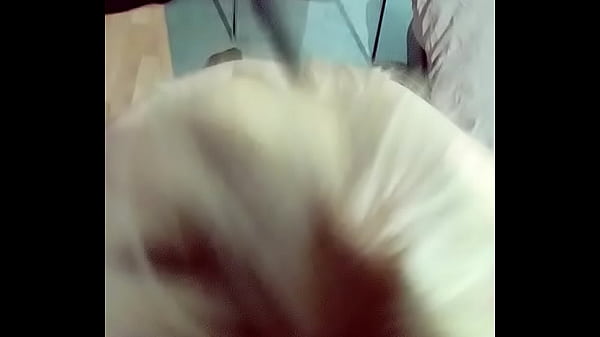 Kathleen suckng throbbing cock