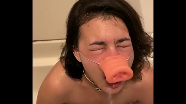 Dirty piggie drinking pee