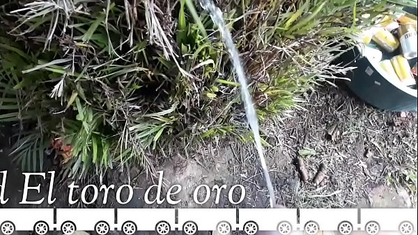 adiciona el toro de oro e faz uma solicita&ccedil;&atilde;o de amizade !!! E veja os melhores videos do xvideos e red xvideos