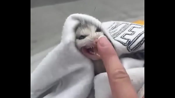 Adventures with Ahanu featuring  OliviaWould #ahanu #ahanureed