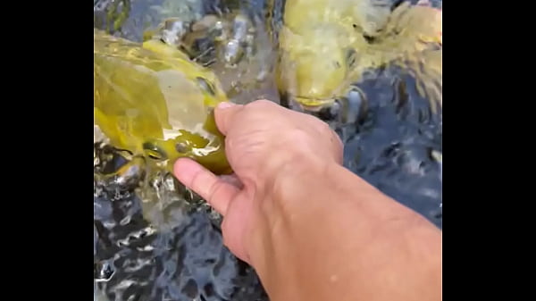 Video x&aacute;c minh  