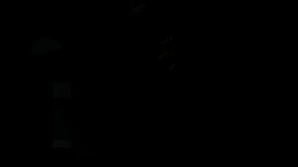 QuickFap 11m of Anya Krey by Only Gold Digger  