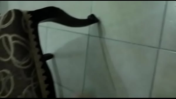 perrita dominicana de Santiago 