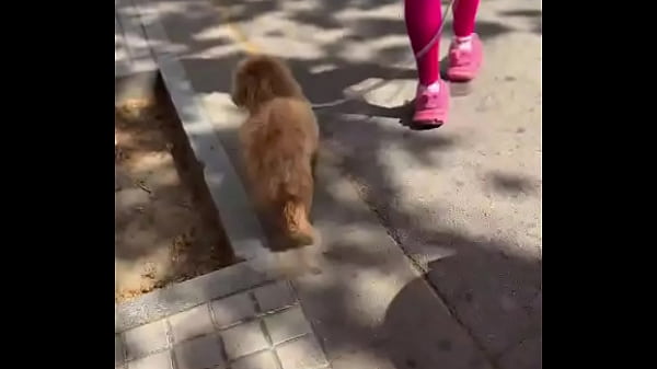 RT if you want to see me in public like  