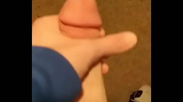 Cock  
