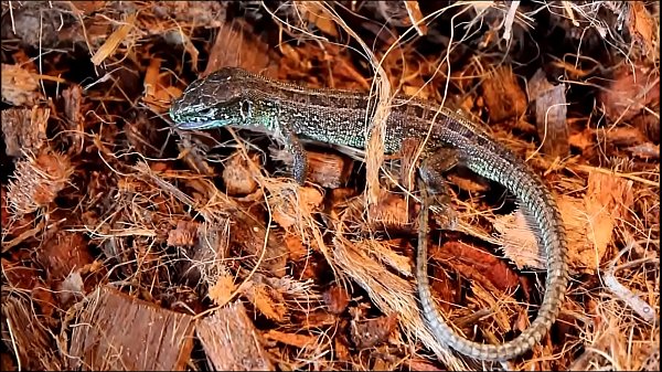 &ETH;&iexcl;&ETH;&micro;&Ntilde;&euro;&ETH;&deg;&Ntilde; &Ntilde;&Ntilde;&permil;&ETH;&micro;&Ntilde;&euro;&ETH;&cedil;&Ntilde;&dagger;&ETH;&deg; Y24