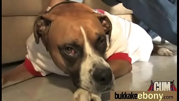 Ebony Gang bang and CUM FEEDING 8