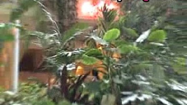 Fucking where cum glows in the dark - sex video