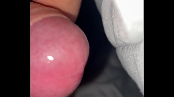 Pekeshow1620 - update #15 - IMG 9283 - Mar 11, 2025