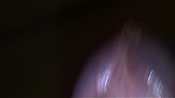 mi masturbo il glande.MPG