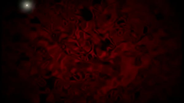 PHOTOGRAPHIC SESSIONS - ANITA LIMA  