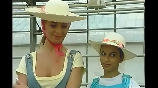 Geile Rosen Kavaliere