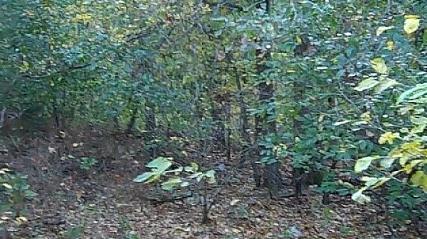 cowgirl teen Dianna Jean plays on her tractor .MP4