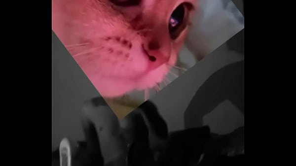 CONOCEME UN POCO  TE SORPRENDERAS 