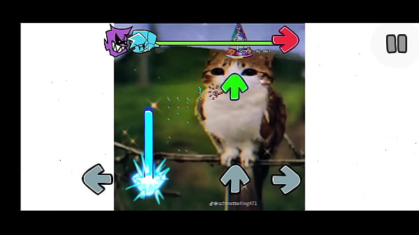 fnf mod del gato pendejo de tik tok  