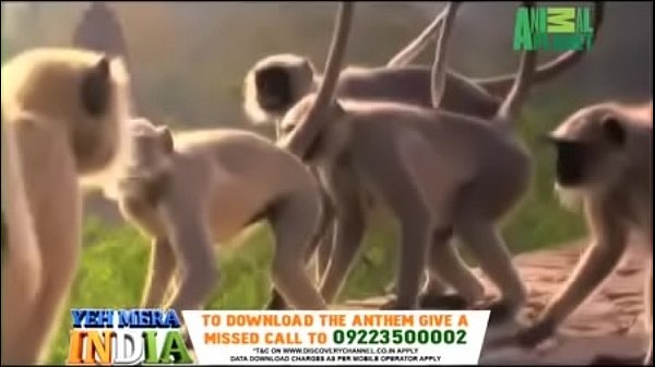 Yeh Mera India Anthem - Promo