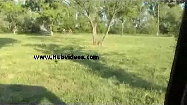 Fucking hot brunette in car  