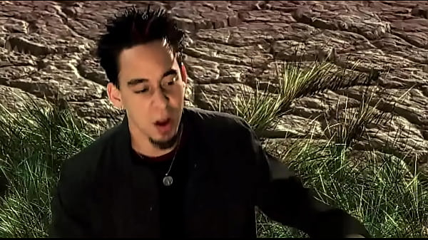 V&iacute;deo de verificaci&oacute;n