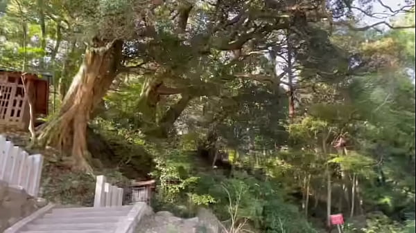 筑波山 夜间 温泉