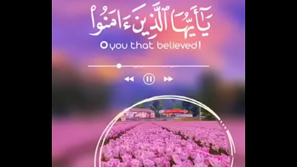 فيديو التحقق