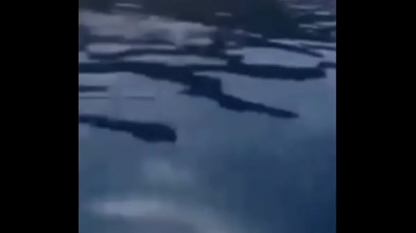 EEEEEEEEEIITA QUENGAS