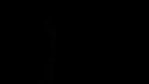 Salcedo Ecuador 2017