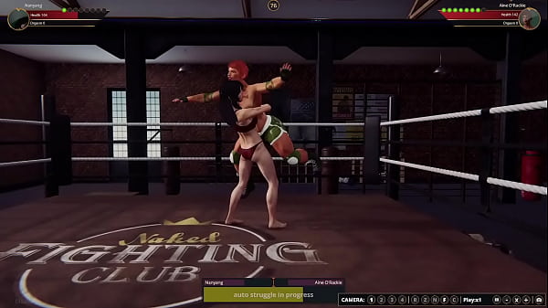 Nanyang VS Aine [NF3D Female MMA Battle]
