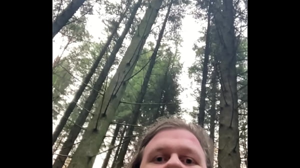 Adding More Wood to the Forest  