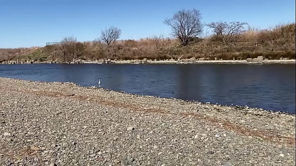 テストです、直ぐに削除します  