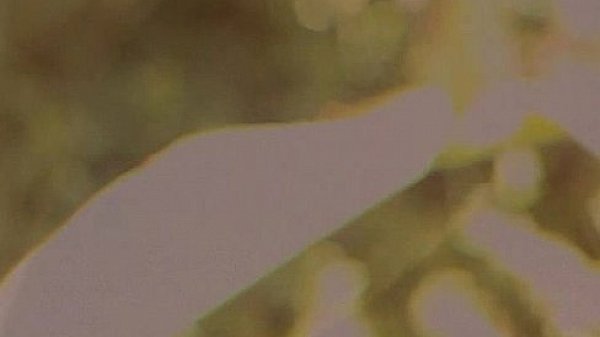 Metro - Blowjob Fantaies 15 - scene 6