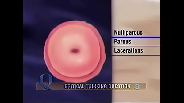 Female Vagina And Anus Check.