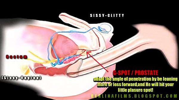 Shemale Aanatomy(Some kind of sissy-trainer)