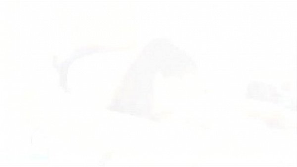 Beauteous Shemale TS Filipina Receives Intense Anal 