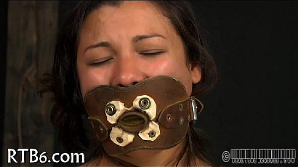 Taming a leather pet