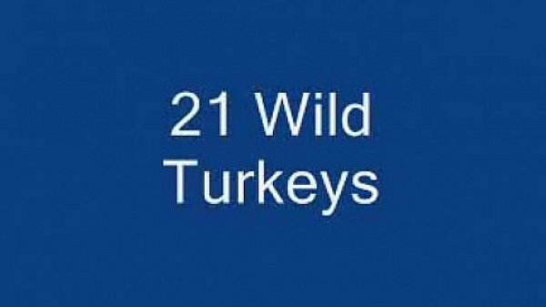 be thankful for good pr0n