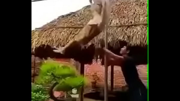 Troll h&agrave;i hước 2019