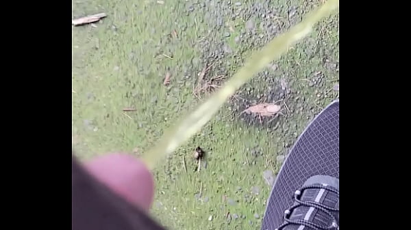 Fmeanal420 - update #4 - 20240206 142817 - Jun 22, 2024 