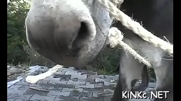 Sex ride with dose of fetish