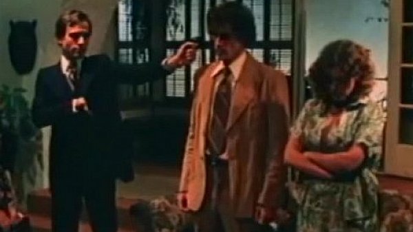 Classic Seventies Sexcapades  