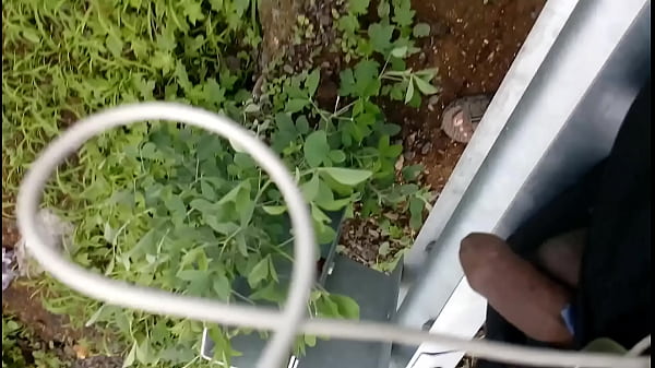 Village flashing highway