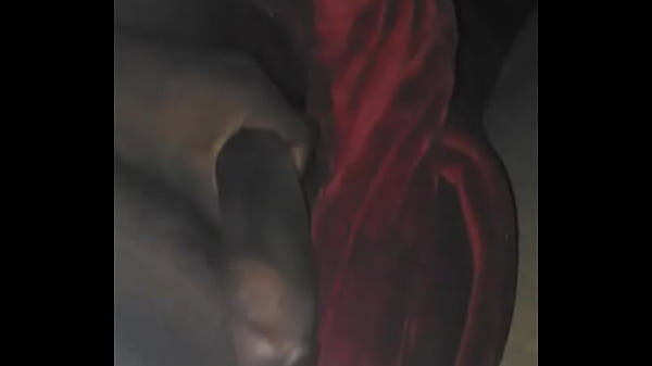 40b56718-f0b8-46db-9e74-f8dfeaa19c3a