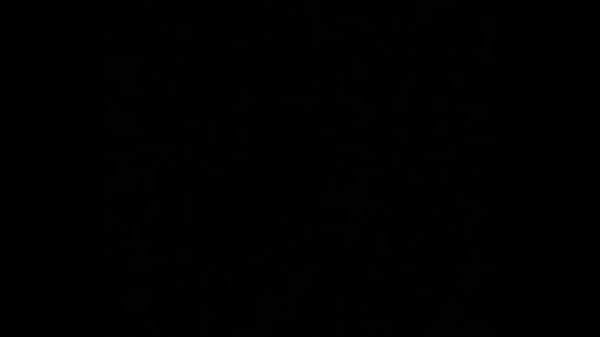 Cumming fast while roomies are busy with family (audio only)