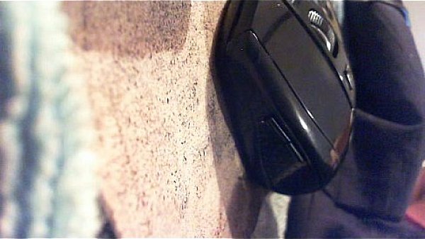 ALxa love and Papa wood