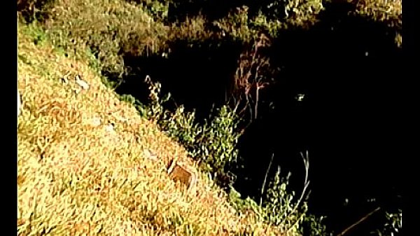 Cojiendo en el campo (2 parte)