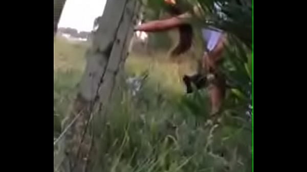 Video Parana, Fiesta Premiere