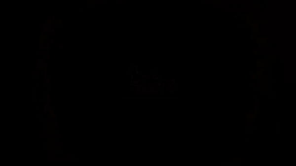 Paola Venturine corre do anal com o dotado Joao O Safado