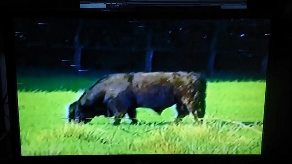 Who is the short-haired blond? Or at least the name of the movie