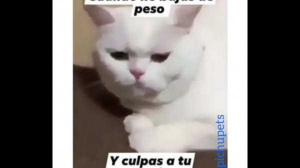 Venezolana gime y pide m&aacute;s  